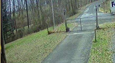 FedEx Driver Forgets to Put It in Park