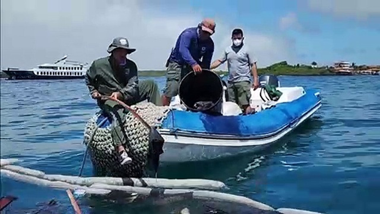 Barco hundido en Galápagos con 2.000 galones de diésel deja mancha "superficial"