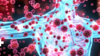 News Top Santé - L'actualité Santé