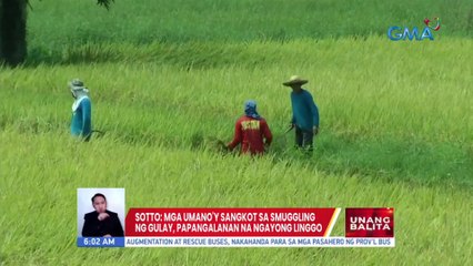 Sotto: Mga umano'y sangkot sa smuggling ng gulay, papangalanan na ngayong linggo | UB