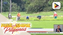 P12-M halaga ng fuel subsidy sa mga magsasaka at mga mangingisda, naipamahagi ng Department of Agriculture