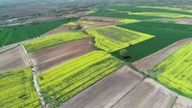 KIRKLARELİ - Trakya'nın verimli toprakları fotoğraf tutkunlarını kendine çekiyor