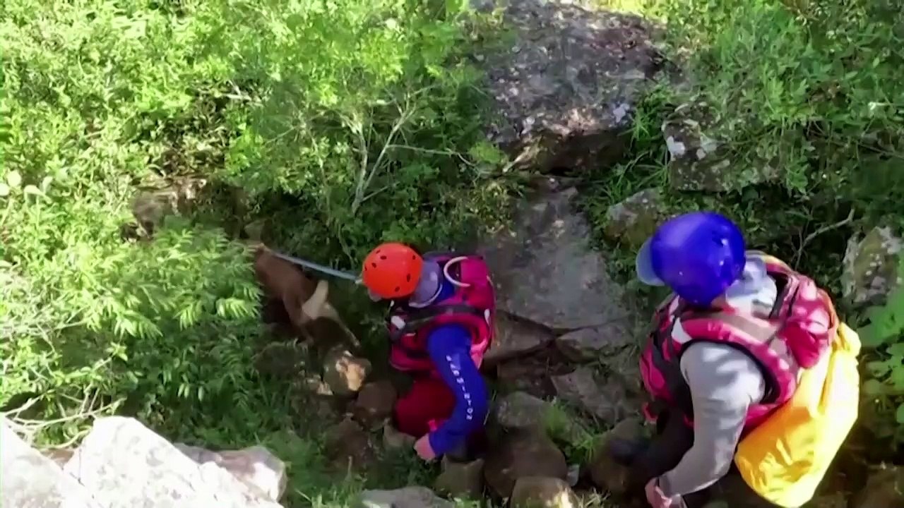 South African policewoman lost her life trying to save flood victims