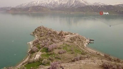 Badem çiçekleriyle renklenen Akdamar Adası'nda görsel şölen