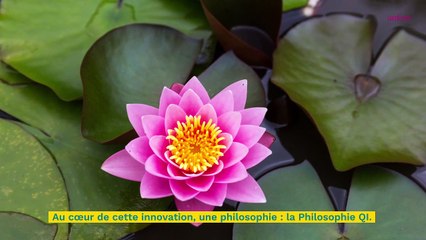 Notre coup de coeur de la semaine : la crème Youth Flow de Kenzoki