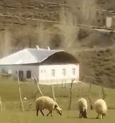 KUVVETLİ RÜZGARDA CAMİNİN ÇATISININ UÇMA ANI KAMERADA