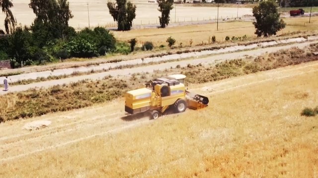 بسبب حرب روسيا على أوكرانيا.. مخاوف من تأثر إمدادات القمح للعراق