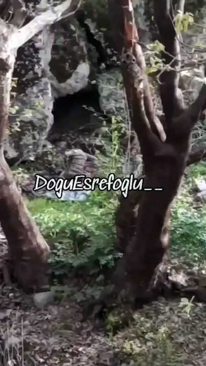 Hain PKK’lı teröristler işte böyle yakalandı! Pençe-Kilit Operasyonu'na ilişkin müthiş görüntüler!