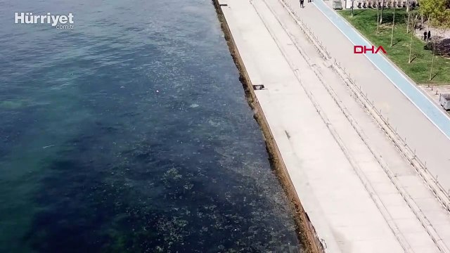 Tuzla ve Kadıköy sahillerinde müsilaj benzeri kirlilik