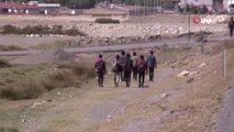 Tarlada izlerini kaybettirmek isteyen kaçak göçmenler yakalandı
