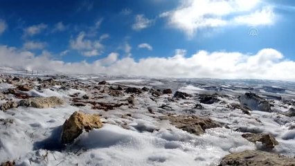 Arıcıların kaliteli bal üretimi için Toroslara göçü başladı