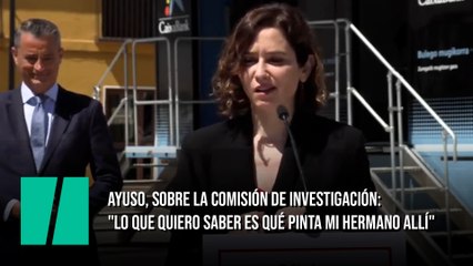 Ayuso, sobre la comisión de investigación: "Lo que quiero saber es qué pinta mi hermano allí"