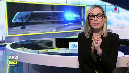 Retiran palmera de de la Glorieta de la Palma en la CDMX