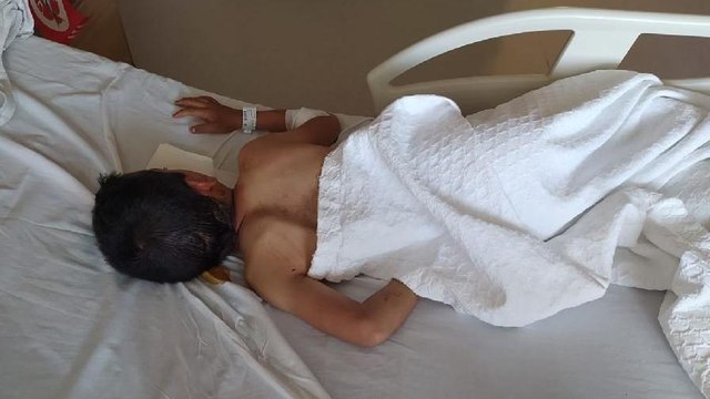 Uçurtmasının peşinden koşan çocuğa köpekler saldırdı