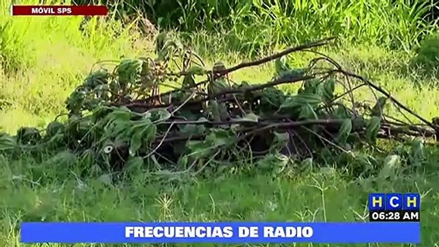 Hallan cadáver de una persona dentro de crique #MóvilSPS