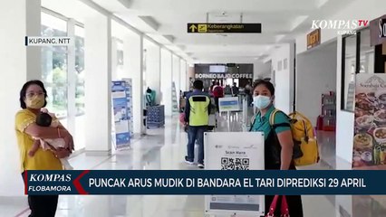 下载视频: Puncak Arus Mudik di Bandara El Tari Diprediksi 29 April