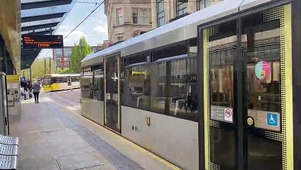 New trial for dogs on Metrolink trams in Manchester