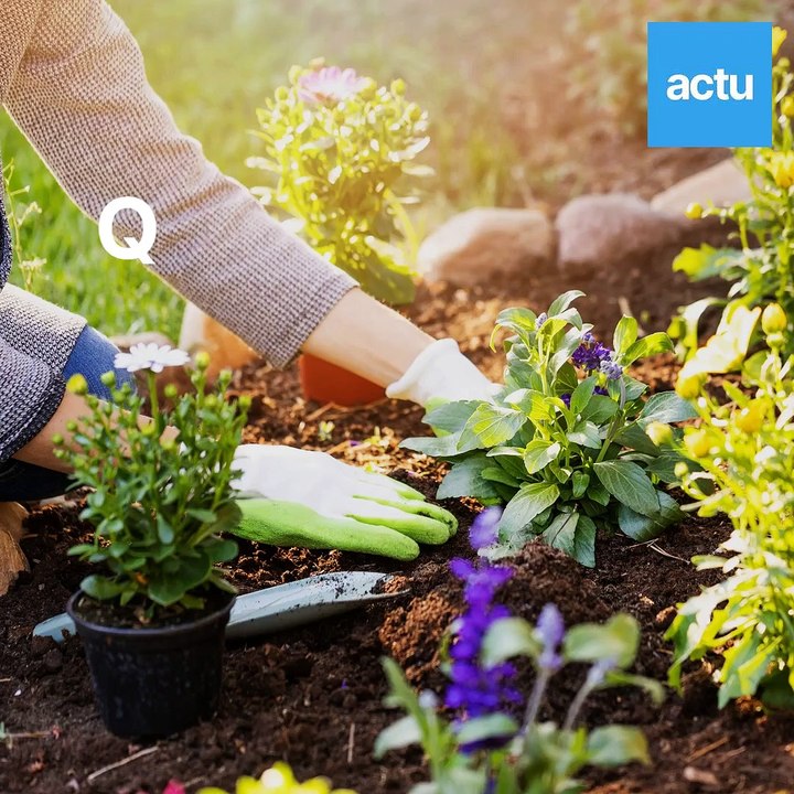 Quels conseils de jardinage au printemps 2022 ? Les conseils d'un pro