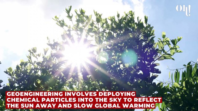 Global warming: preventing it could increase risk of this disease