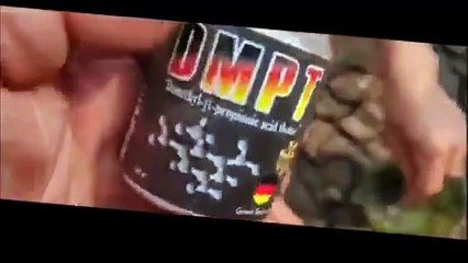 EXPERIMENT DMPT VANILI JERMAN MEDIA TANAH DI MAKAN IKAN