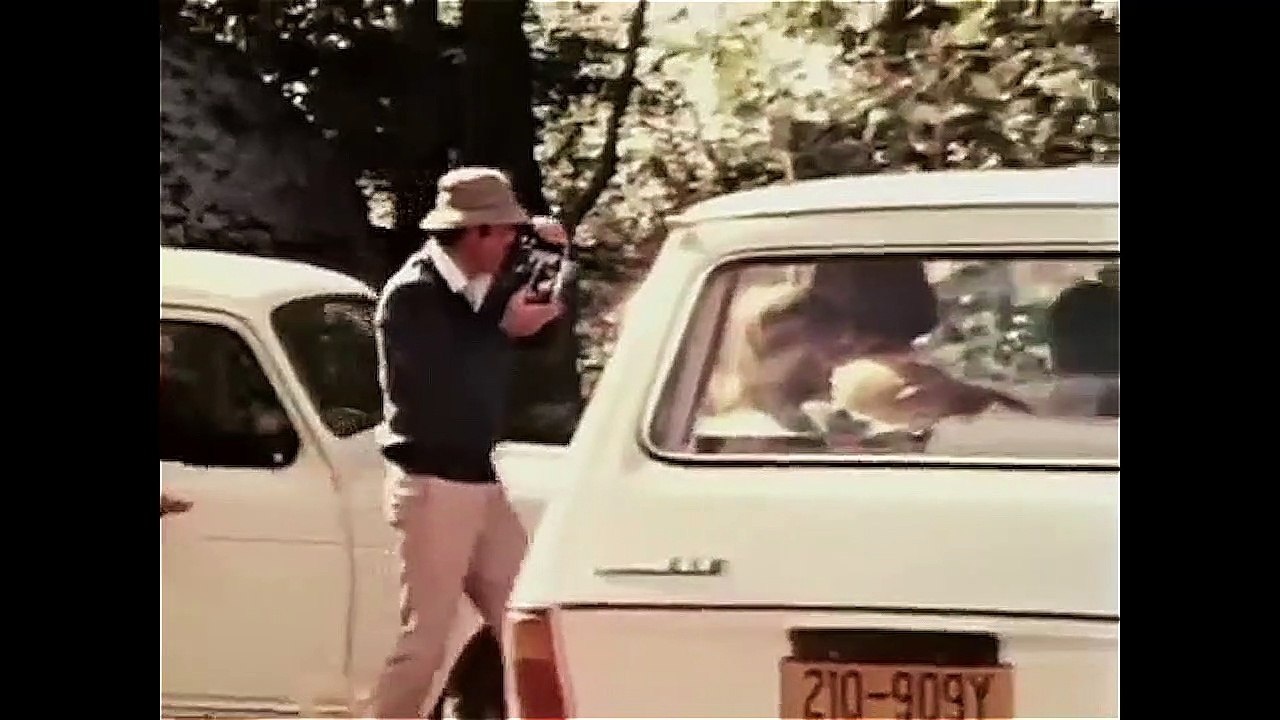 HOMBRE COMIDO POR LEONES EN VIVO