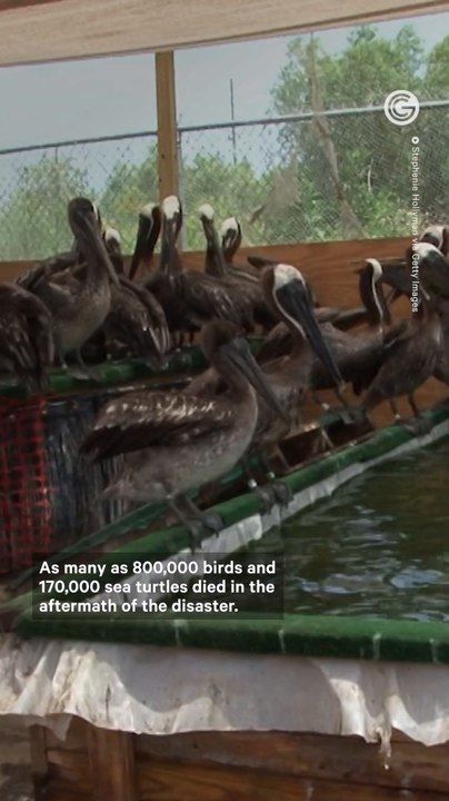 Lessons Learned From the 2010 BP Deepwater Horizon Oil Spill