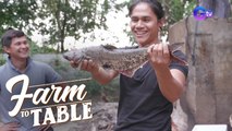 Farm To Table: Chef JR Royol catches a humungous pangasius fish!