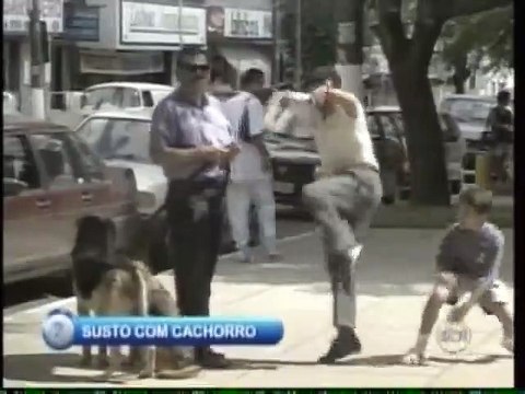 Susto com Cachorro Pegadinha Programa Silvio Santos
