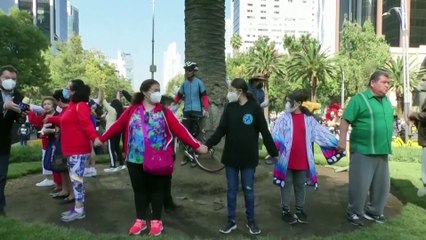 Mexico City's 100-year-old beloved palm tree is removed after plague infection