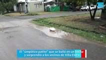 El simpático patito que se bañó en un bache y sorprendió a los vecinos de Villa Elvira
