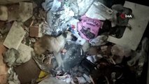 Bursa'da köpeği çöplüğe attılar, acı feryadını duyanlar kurtardı