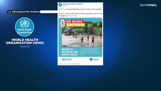 La OMS recuerda el riesgo que representa la malaria, subestimada durante la pandemia de COVID-19