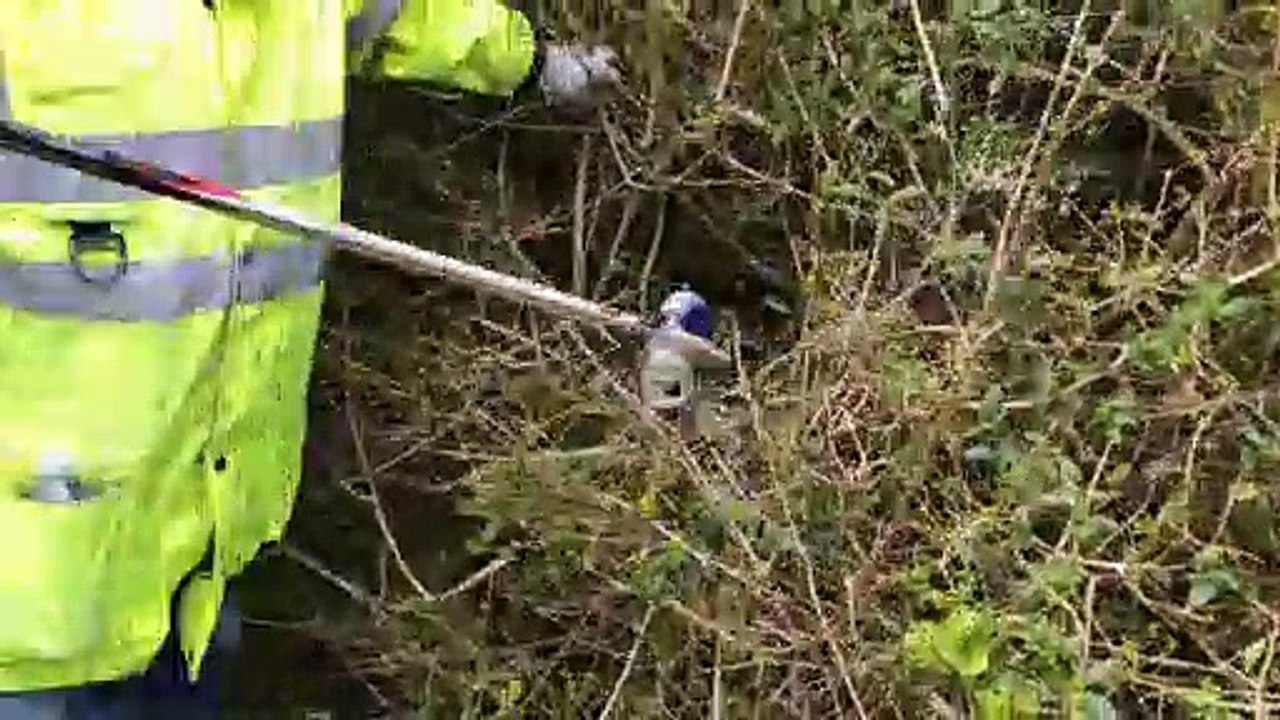 Country park increasingly blighted by litter