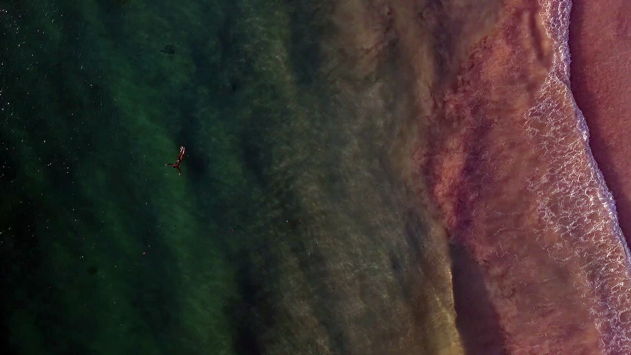 Waves