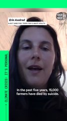 Initiative Funds Reforestation to Combat Effects of Climate Crisis