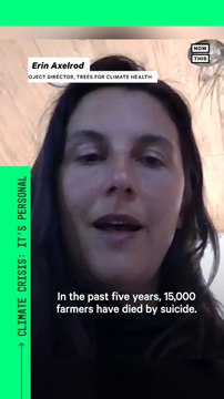 Initiative Funds Reforestation to Combat Effects of Climate Crisis