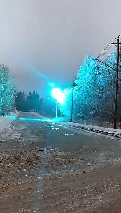 Tree on Power Line Causing Electric Arcs