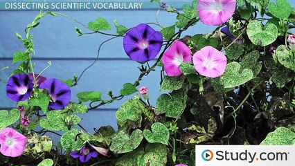 Science Vocabulary & Concepts- Study Skills & Word Parts -
