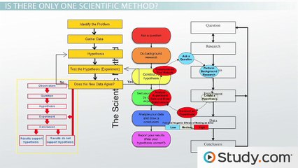 The Scientific Method- Steps, Terms & Examples