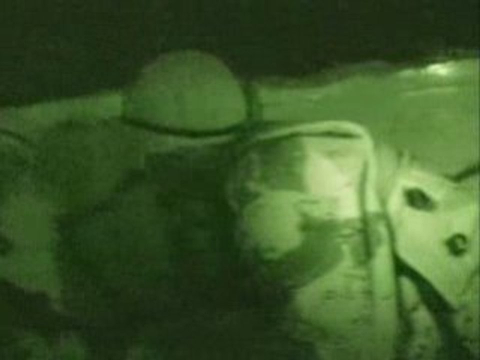 Un Juif en Irak