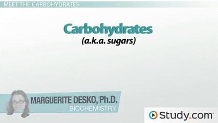 Structure and Function of Carbohydrates