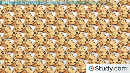 Enzyme Activity & Inhibition- Structure, Substrates, pH & Temperature