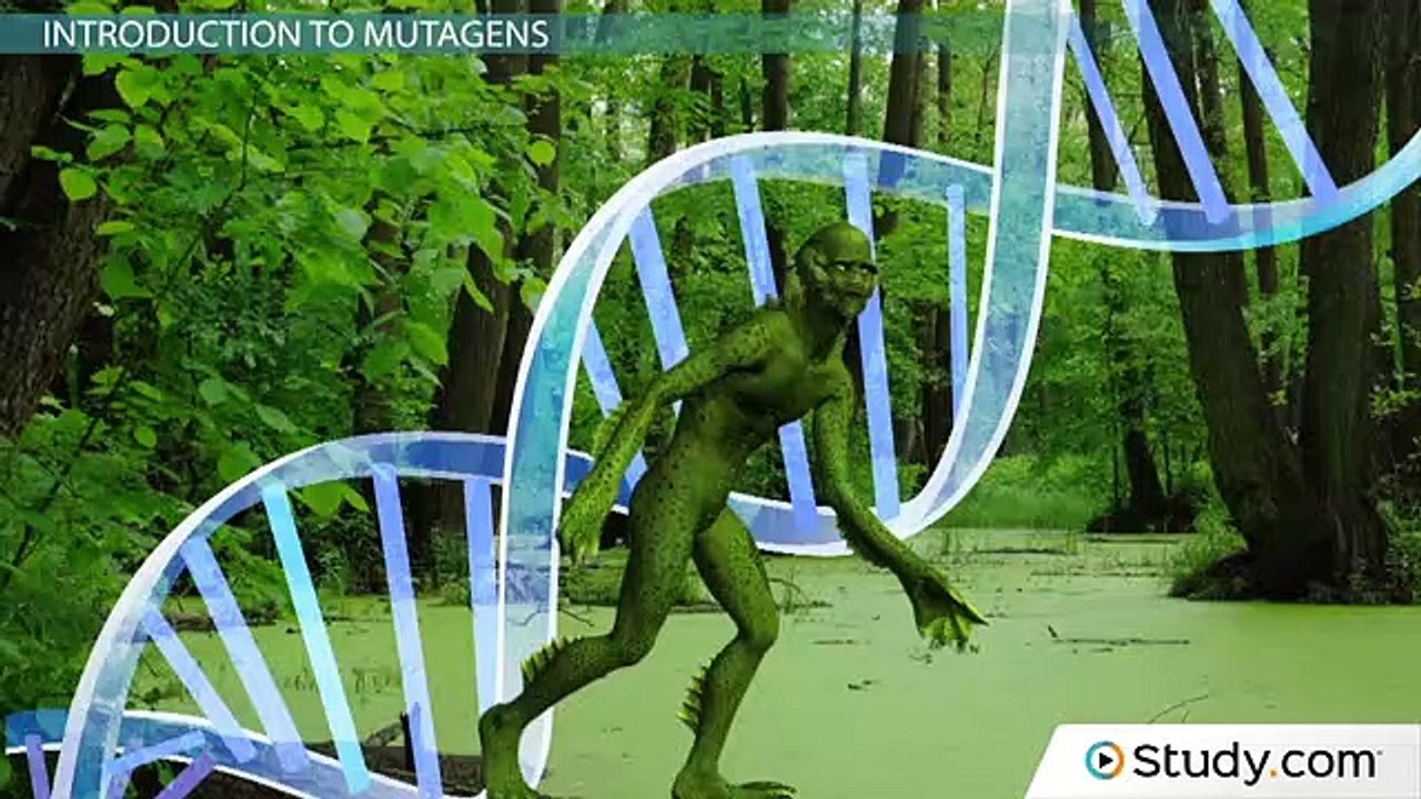 Mutagens- How the Environment Affects Mutation Rates