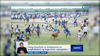 Ilang lumahok sa tradisyunal na paghahabol ng mga toro, nasugatan | Saksi