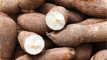 Leclerc : de la cocaïne dissimulée dans du manioc