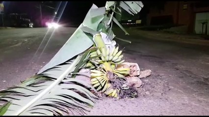 Revoltados com buraco, moradores "plantam" bananeira em rua de Cascavel