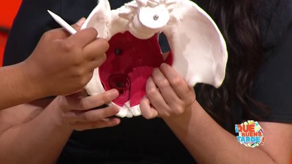 tecnologia kolbi-250422