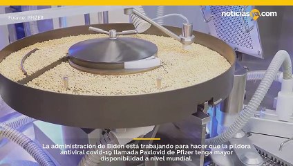 La Casa Blanca trabaja para hacer que la píldora antiviral Covid-19 de Pfizer esté más disponible