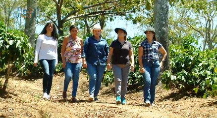 tn7-Productoras de café se unen para lanzar al mercado su marca de exportación-250422