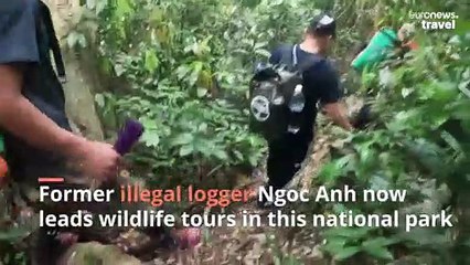 Vietnam's new tour guides were illegal loggers until this innovative programme came along